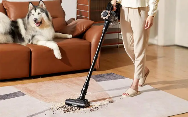 Trucozie Cordless Vacuum Cleaner