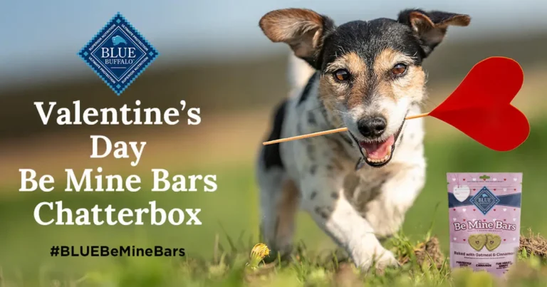 be mine bars