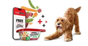 beneful freebie