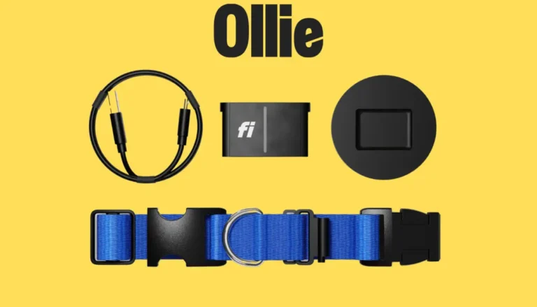 ollie