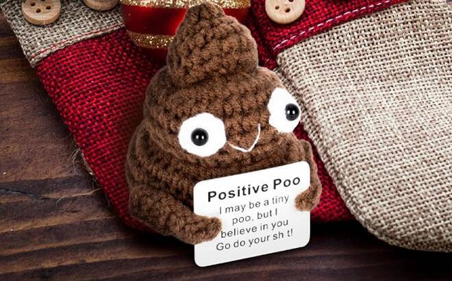 Emotional Support Crochet Poo Plushie on a Table