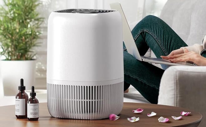 H13 True HEPA Air Purifier on the Table