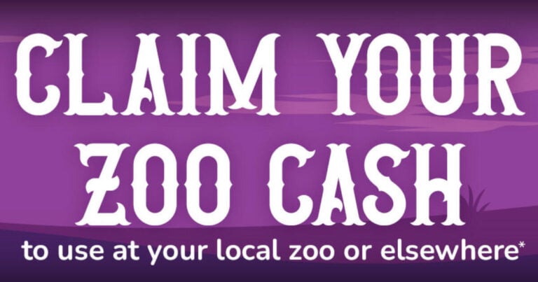 Keebler Zoo Cash