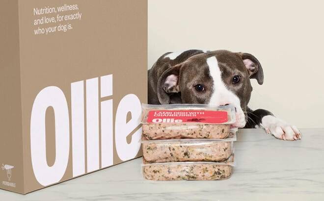 Ollie Dog Food