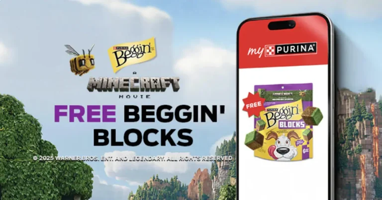 beggin blocks