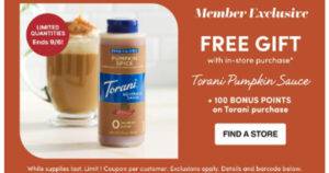 torani pumpkin saue