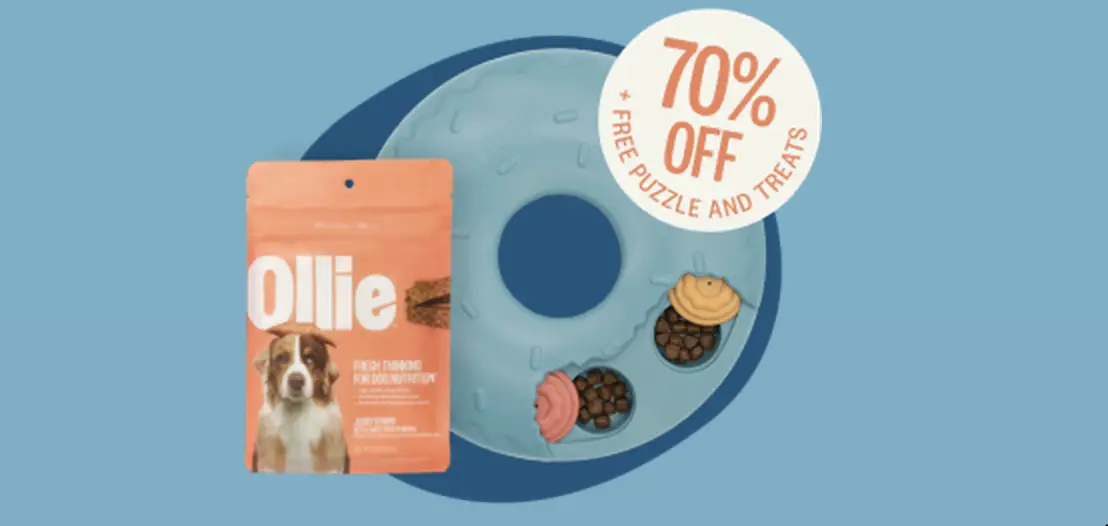 Ollie’s Best Holiday Deal Ends 12/21 (70% off their first Ollie box + FREEBIES)
