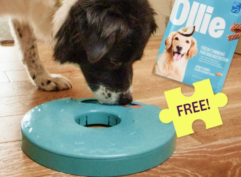 FREE SmartyPaws Puzzler + Free Salmon Jerky Treats Off Your First Ollie Box