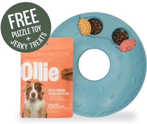 FREE SmartyPaws Puzzler + Free Salmon Jerky Treats Off Your First Ollie Box