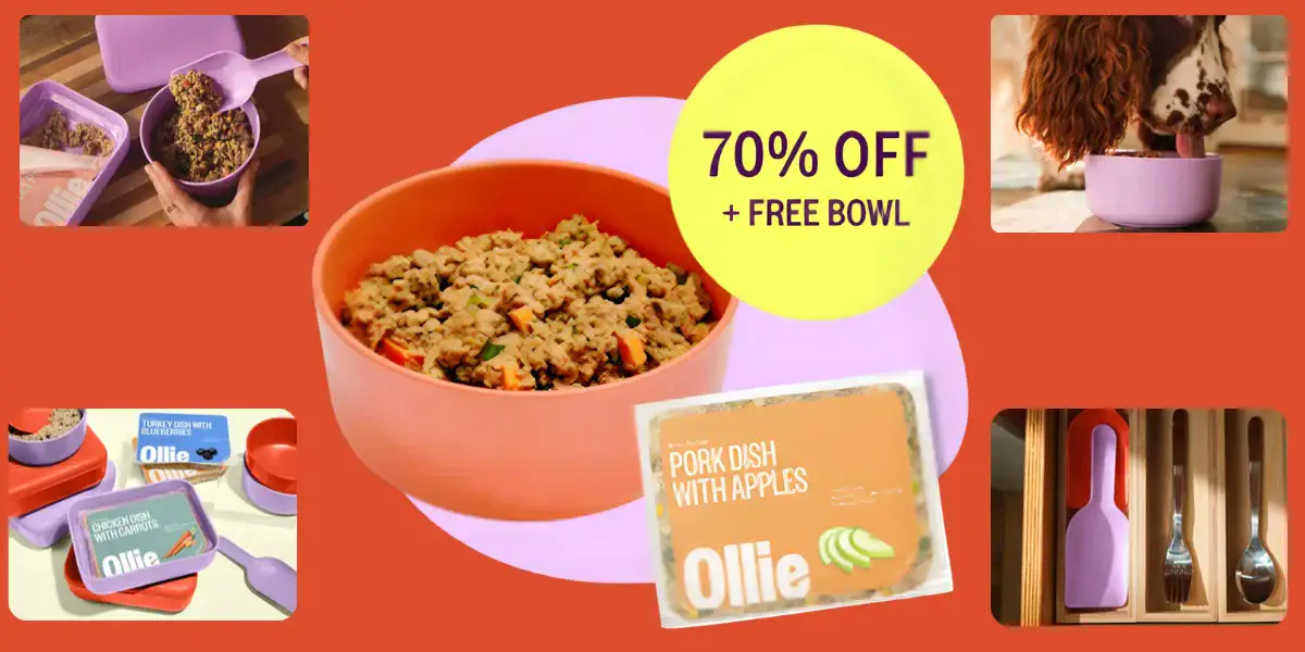 Free Ollie Bowl & Free Welcome kit + 70% Off First Box at Ollie