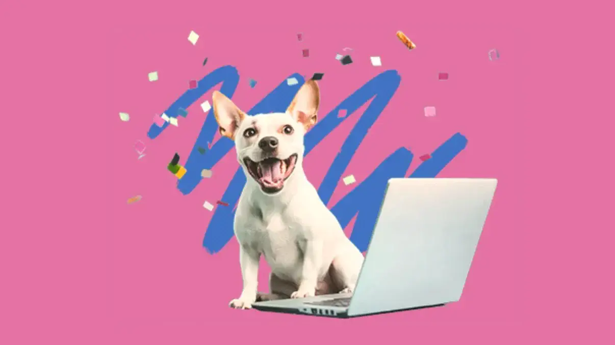 image-loading image-loading