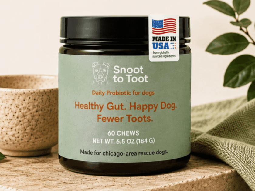 How to Get Free Snoot to Toot Dog Digestive Chews