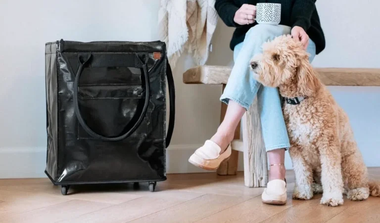 Save Big on CleverMade Rolling Utility Totes at Walmart