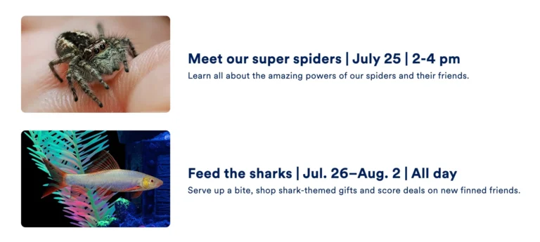 Enjoy Free Petco Events and Big Savings This July