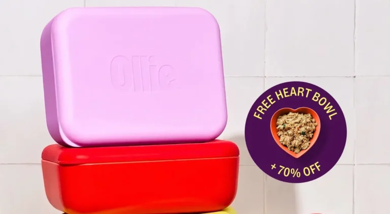 Free Ollie Bowl & Free Welcome kit + 70% Off First Box at Ollie