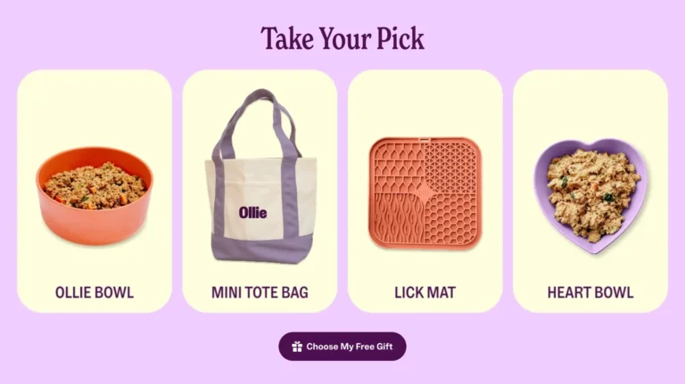 Multiple FREE GIFTS From Ollie–your choice + 70% off at Ollie